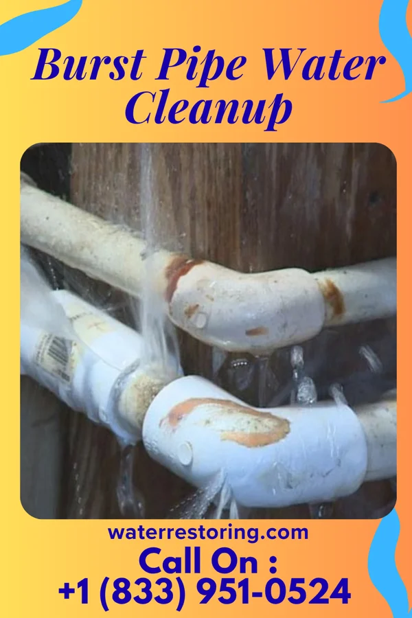 Burst Pipe Water Cleanup in Girard, KS