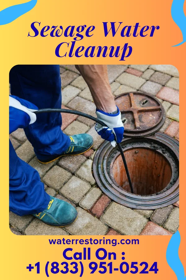 Sewage Water Cleanup in Girard, KS