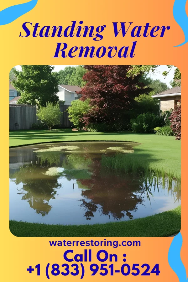 Standing Water Removal in Girard, KS